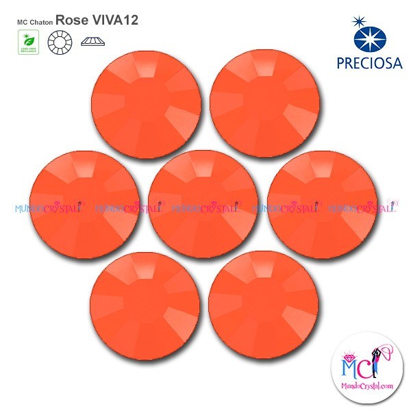 coral-preciosa-elements coral-preciosa-elements