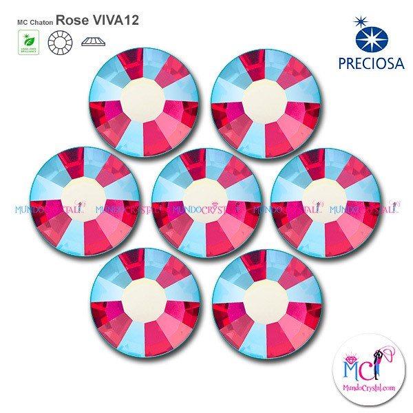 fuchsia-ab-viva12-preciosa