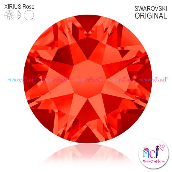 Xirius-Rose-Hyacinth-236 Xirius-Rose-Hyacinth-236