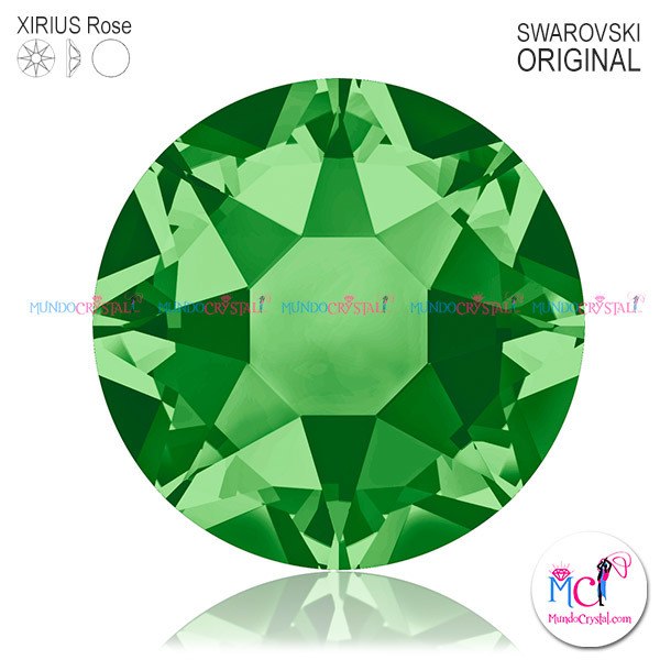 Xirius-Rose-fern green Xirius-Rose-fern green