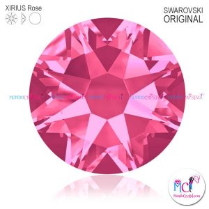 Xirius-Rose-rose-209