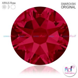 Xirius-Rose-rubi-501