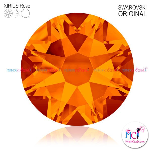 Xirius-Rose-tangerine-259 Xirius-Rose-tangerine-259