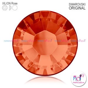 xilion-rose-2038 hyacinth