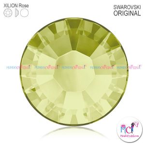 xilion-rose-2038 jonquil