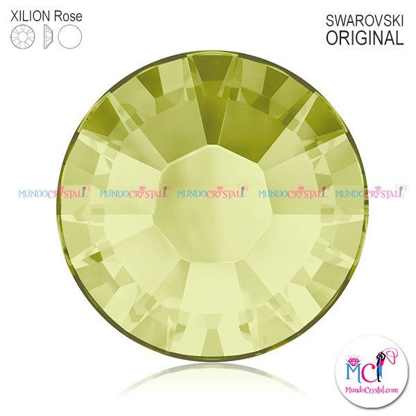 xilion-rose-2038 jonquil