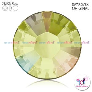 xilion-rose-2038 jonquil ab