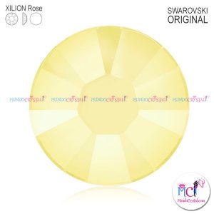 xilion-rose-2038 powder yellor