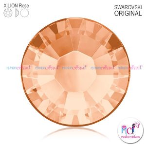 xilion-rose-2038 rose peach