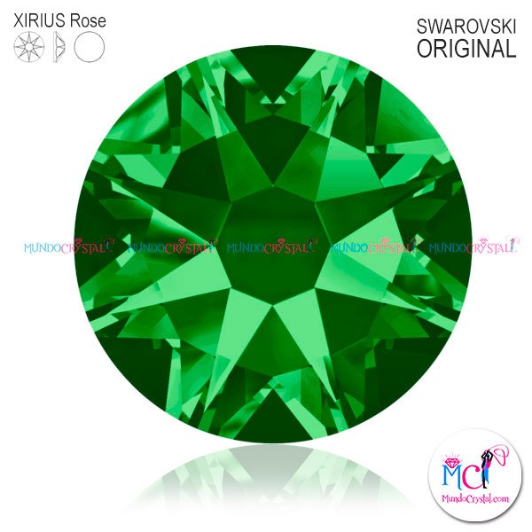 2088-Xirius-Rose-Fern-Green-291