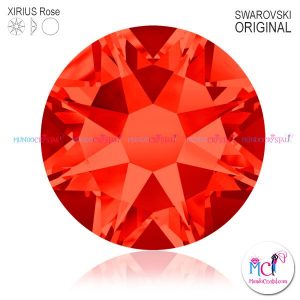 2088-Xirius-Rose-Hyacinth-236
