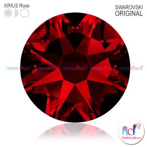 2088-Xirius-Rose-Indian-Siam-327