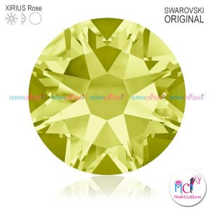 2088-Xirius-Rose-Jonquil-213