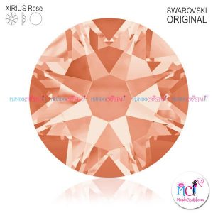 2088-Xirius-Rose-light-peach-362