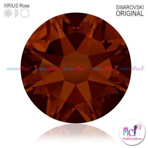 2088-Xirius-Rose-mocca-286