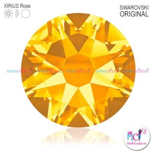 2088-Xirius-Rose-sunflower-292