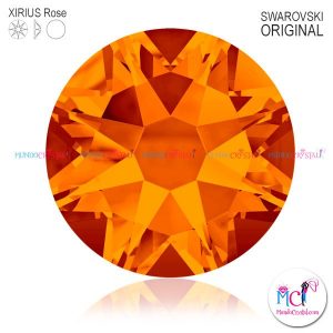2088-Xirius-Rose-tangerine-259