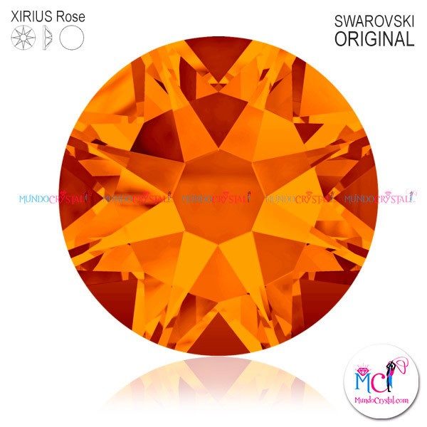 2088-Xirius-Rose-tangerine-259