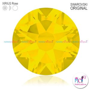 2088-Xirius-Rose-yellow-opall